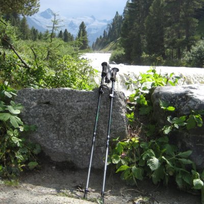 Trail Elite vandringsstav Terra Nova